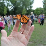butterfly2012 108